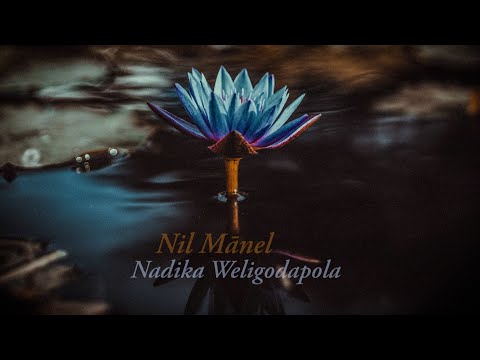 Nadika Weligodapola - Nil Mānel (Official Audio)