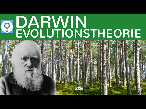 Evolutionstheorie von Charles Darwin - Die Selektionstheorie | Evolution 6
