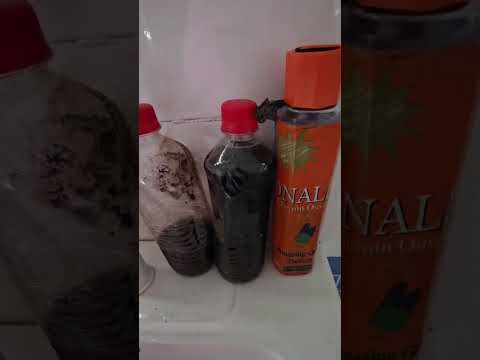 Products that will change your status