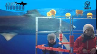 DIA 2 Expo Tiburon138