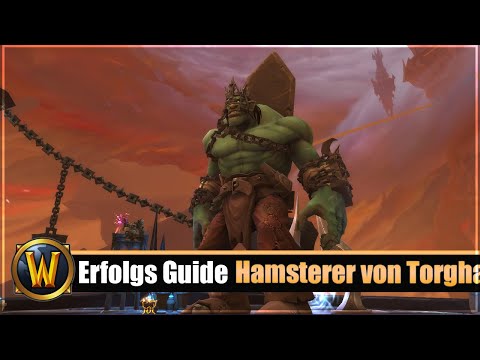 Erfolgs Guide: [Hamsterer von Torghast]