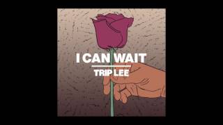 Trip Lee - I Can Wait