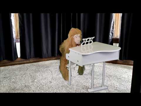 Tones and I - Dance Monkey (OFFICIAL PARODY VIDEO)