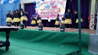 Anand Vidya Public School Video