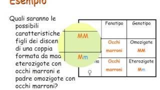 Genetica (3/6): trasmisione di un solo carattere