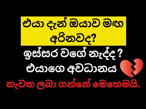 How To Attract Someone Who Ignores | Sinhala | ඔයාව මඟ අරින කෙනෙක්ගේ අවධානය නැවත ලබා ගන්නේ මෙහෙමයි