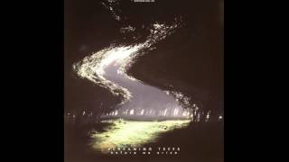 Screaming Trees - Before We Arise (Cover)