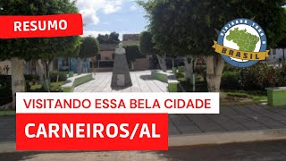 preview picture of video 'Viajando Todo o Brasil - Carneiros/AL'