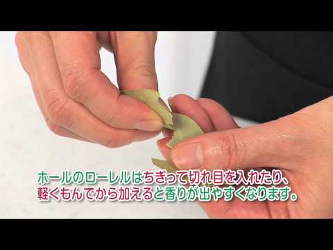 ゲッケイジュ ノビリス