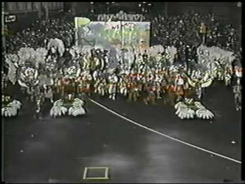 Avalon String Band 1992- It's A Jungle Out There