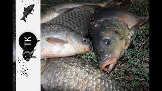 Рыбалка в краснодарском крае платные водоемы
