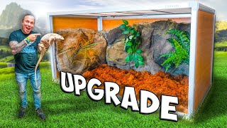 Albino Tegu Lizard Gets Huge Cage Upgrade! by Brian Barczyk