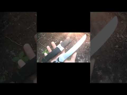 Трюки с танто Гэндзи из игры 'Overwatch 2'!