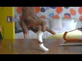 Evolution Of Party Dance Finger Breakdance Edition