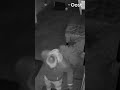 Deze inbrekers proberen een zware kluis te stelen, maar dat gaat niet volgens plan | RTV Oost