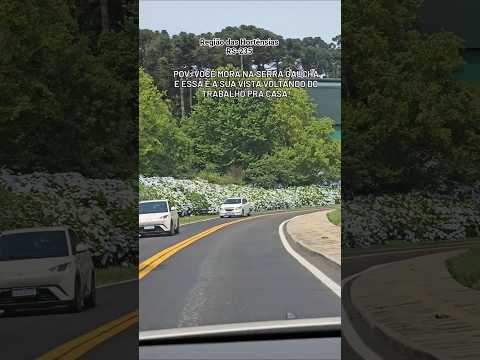 Região das Hortênsias na Serra Gaúcha #serragaucha #turismors #gramado #canela #sul #natalluz #bento