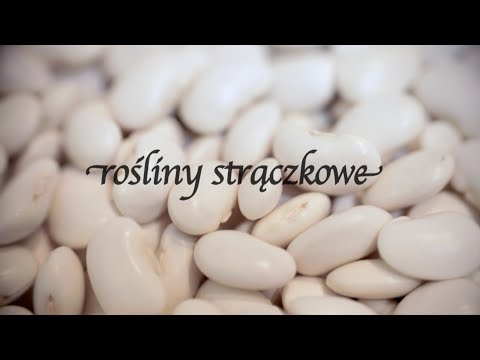 Orzeszki ziemne są użyteczne dla potencji Sretstvo potencji