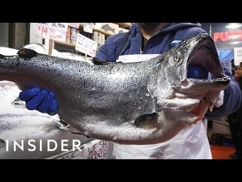 download lagu mp3 mp4 Fresh Seafood Seattle, download lagu Fresh Seafood Seattle gratis, unduh video klip Fresh Seafood Seattle