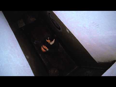 afbeelding Assassins Run