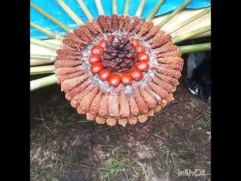 Aroosh participate in an outing the gorneton trail as part of the "Art nature trail" project.