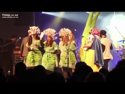 Fašenk v Gornji Radgoni