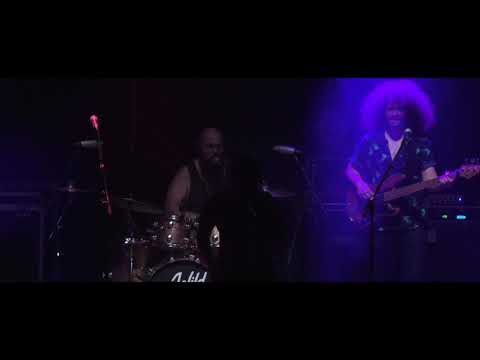 Wild Adriatic - "New Orleans" LIVE at the Palace Theater