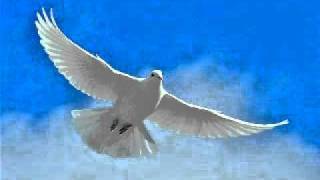 Edoardo Bennato - Signor censore - images of the crow, the owl and the dove