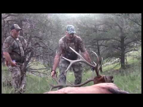 New Mexico Trophy Elk Hunts