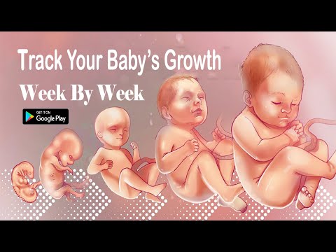Pregnancy Tracker Max