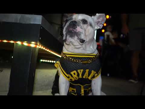 Qg x Future Legends x Legendary Nights x One Of Us Events