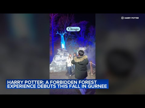 'Harry Potter: A Forbidden Forest Experience' coming to north suburbs