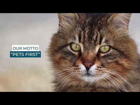 All About QAIS-air- 04 @CatCon2023 - Archived