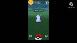 Pokemon Go Game Caught  Ditto