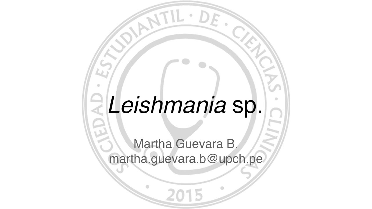 Leishmania sp.