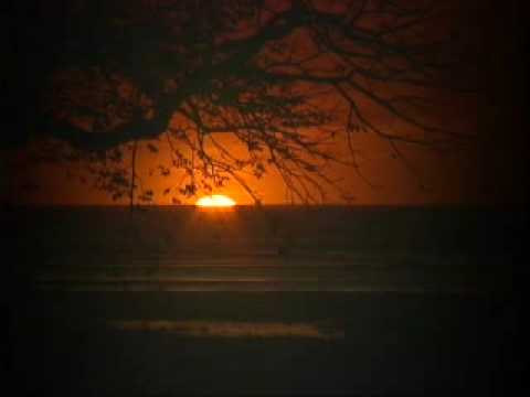 Everlasting - SONICFLOOd