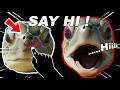 Immersive Interactive Warm Up ORIGINAL Viral Viral Interactive Game FULL VERSION