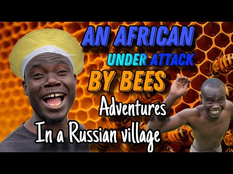 Bees attacking my African friend in a Russian village