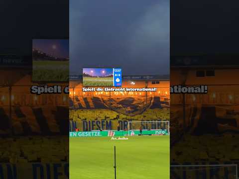 Eintracht Braunschweig international! Fangesang Edit mit Text! 🔵🟡 #eintrachtbraunschweig