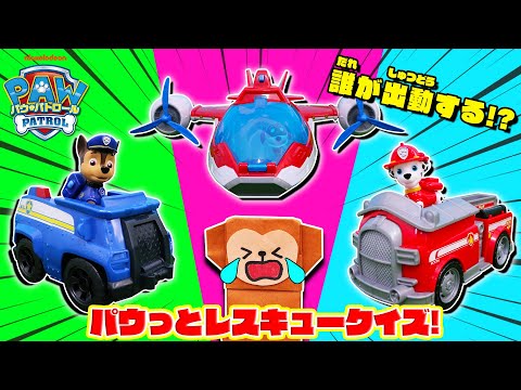 パウ・パトロール『パウっとあそぼう！レスキュークイズ』【タカラトミーキッズ】 親子で楽しくあんしん | ファミリー | おはなし | くるま | 子供向け | タカラトミー公式