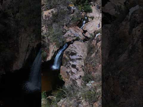 ​🌵💧 Um oásis no meio da Caatinga!​