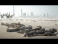 Post-Apocalypse Dubai 