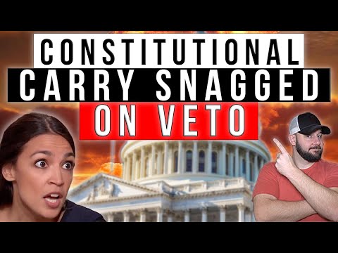 MISSION CRITICAL: Dem Gov VETOES Constitutional Carry... We MUST Override It To Defeat Them AGAIN! Thumbnail