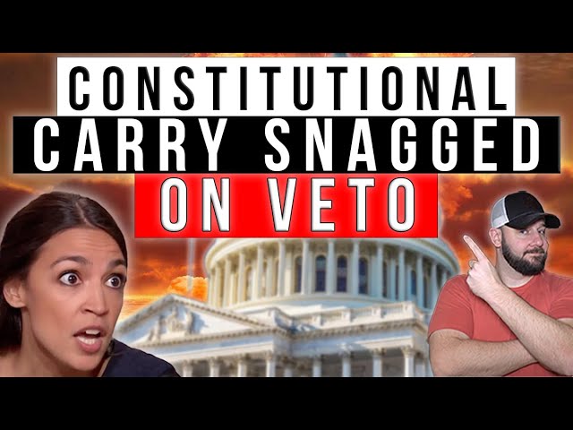 MISSION CRITICAL: Dem Gov VETOES Constitutional Carry... We MUST Override It To Defeat Them AGAIN!