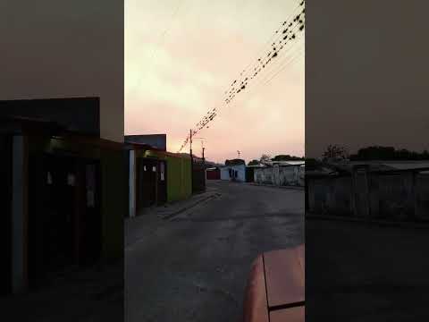 #barinasvenezuela #municipiocruzparedesbarinas #barrancasbarinas