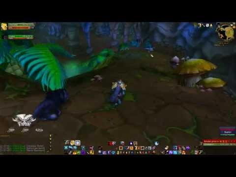 Let´s Raid WoW #002 - Die Höhlen des Wehklagens