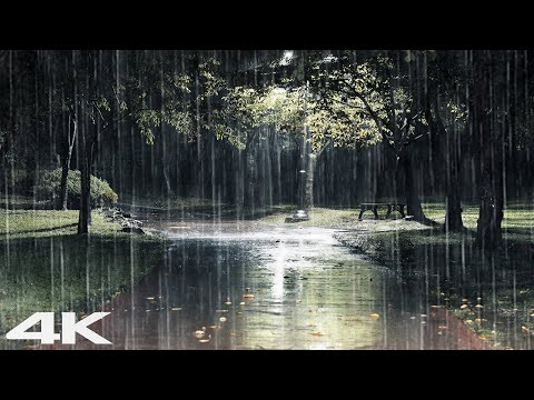 💤Falling Asleep in 3 Minutes💤 Gentle Rain Sound at Night, Stress Relief & Insomnia Healing