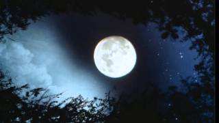 Display - August's moon (my Inner / Outside thoughts)