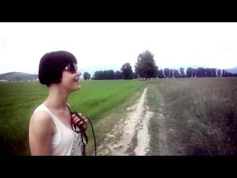 Rudi on a Sunday Afternoon Chase