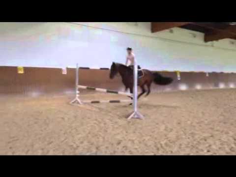 Cor de Lord by Cor de la Bryère - Lord Z - Fasolt, line 8819