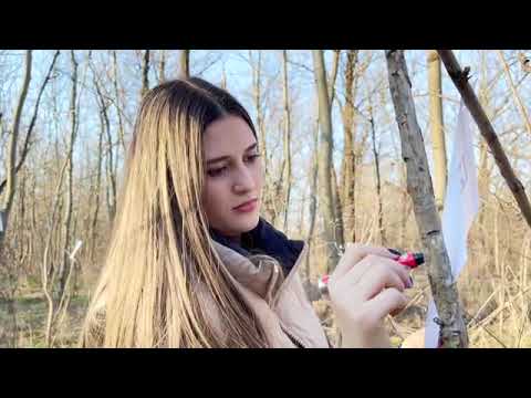 Liviu Didu   @Iulian Grigoras & Camelia Rosu   O mie de raze Oficial Video